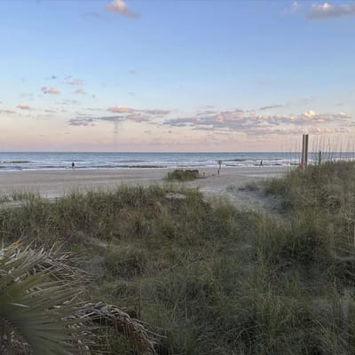 C110 A Shore Thing 2 BR 2 BA Oceanfront Condo